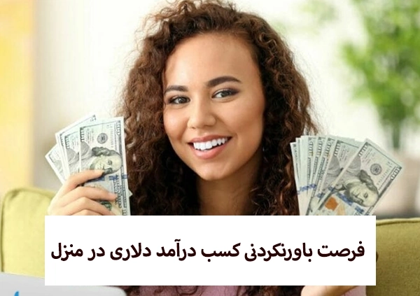 درآمد دلاری در منزل